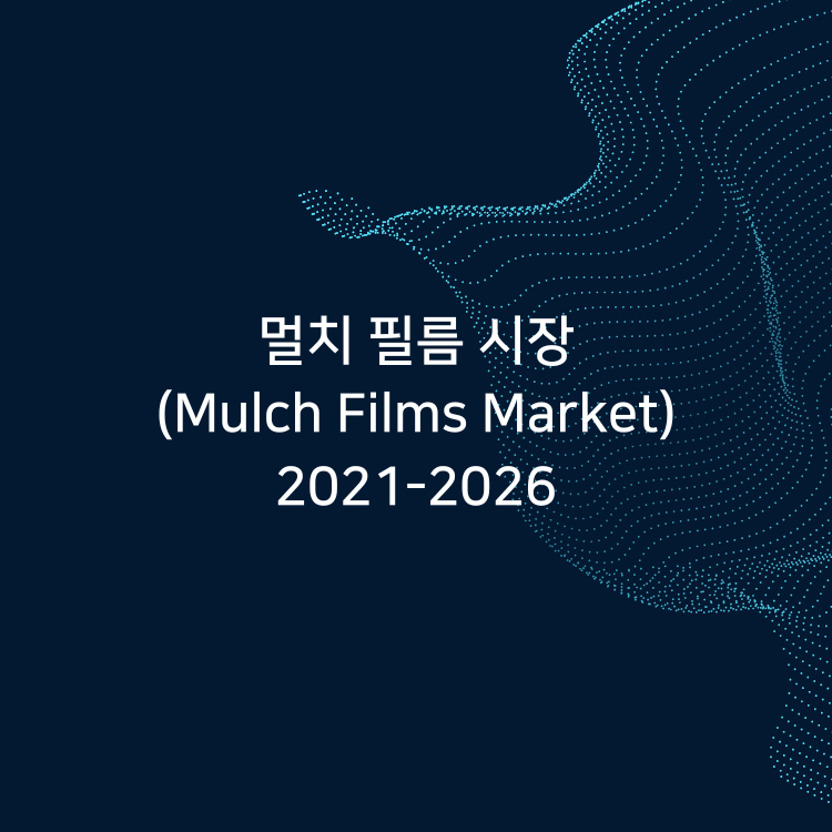 멀치필름시장